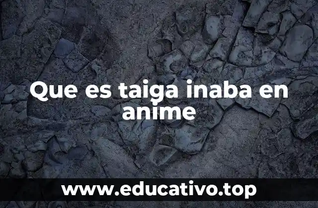 Que es taiga inaba en anime