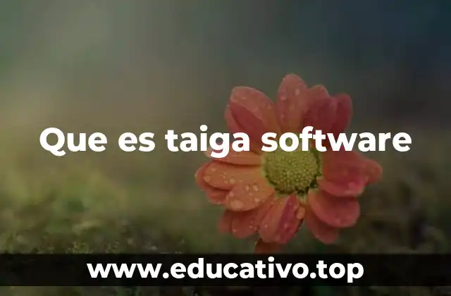 Que es taiga software