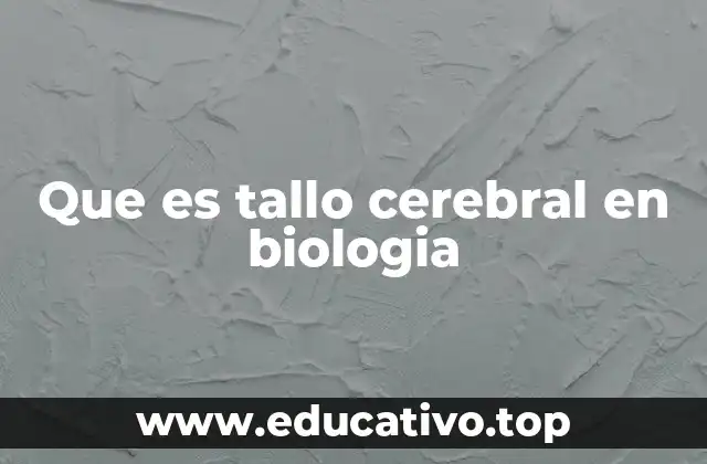 Que es tallo cerebral en biologia