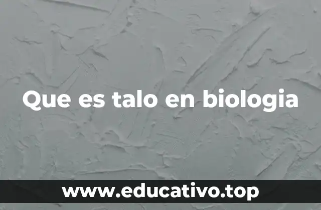 Características del talo y su importancia biológica