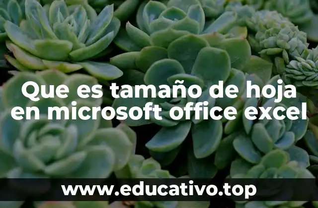 Que es tamaño de hoja en microsoft office excel