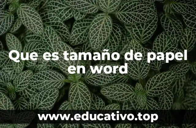 Que es tamaño de papel en word