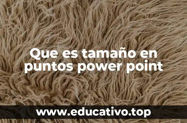 Que es tamaño en puntos power point