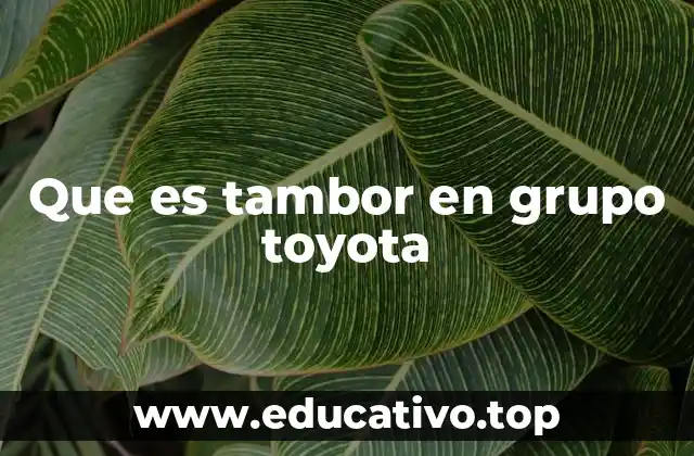 Que es tambor en grupo toyota