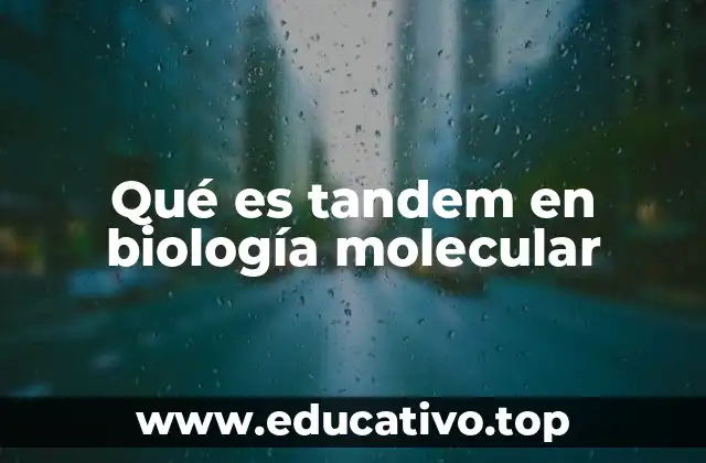 Qué es tandem en biología molecular