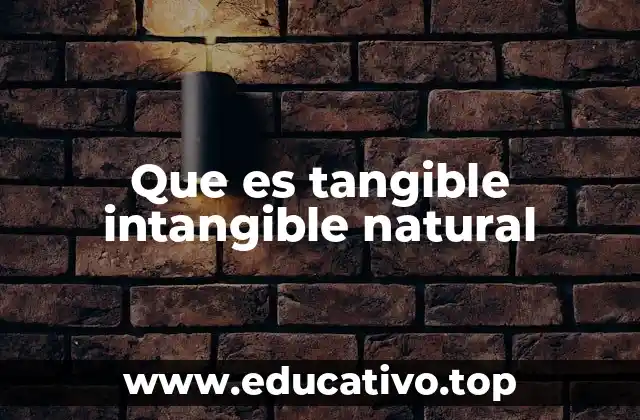 Que es tangible intangible natural
