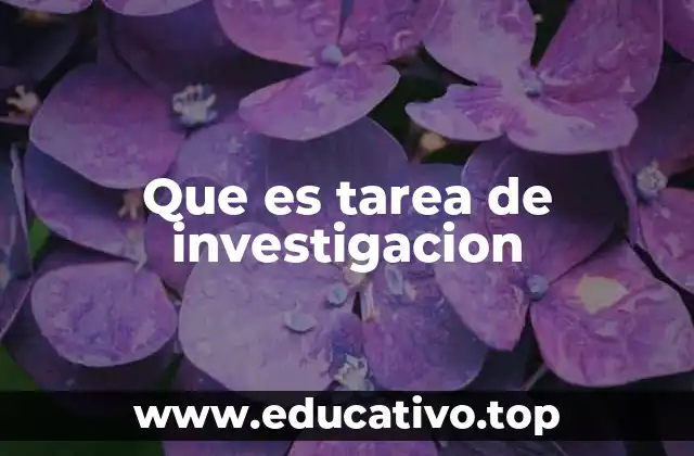 Que es tarea de investigacion