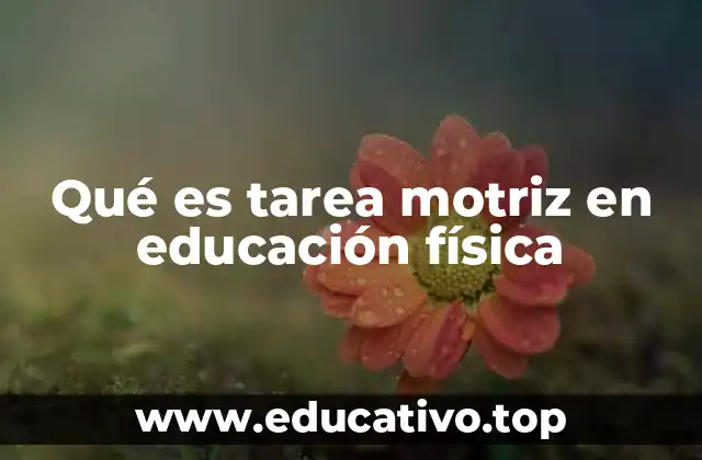 Qué es tarea motriz en educación física