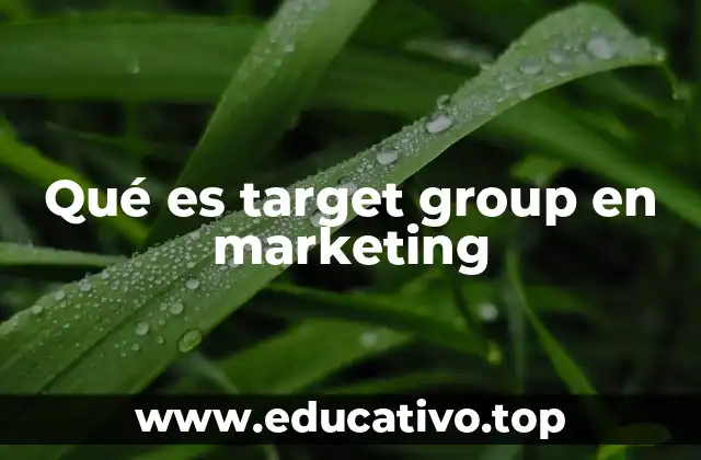 Qué es target group en marketing