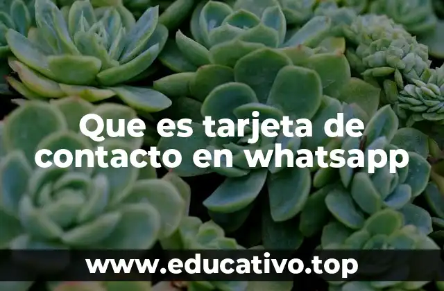 Que es tarjeta de contacto en whatsapp