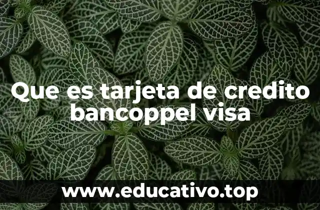 Que es tarjeta de credito bancoppel visa