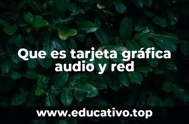 Que es tarjeta gráfica audio y red