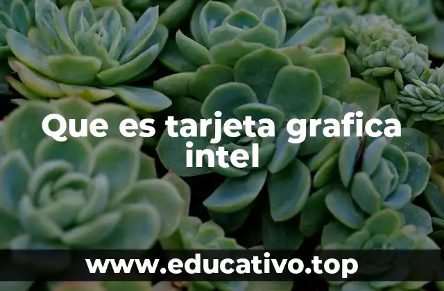 Que es tarjeta grafica intel