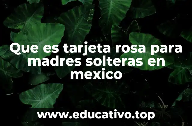 Apoyo económico a madres solteras sin mencionar directamente el nombre del programa