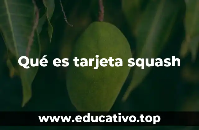 Qué es tarjeta squash