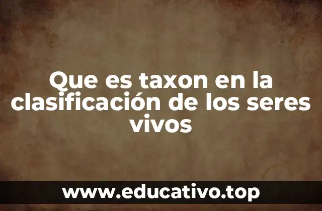 Que es taxon en la clasificación de los seres vivos