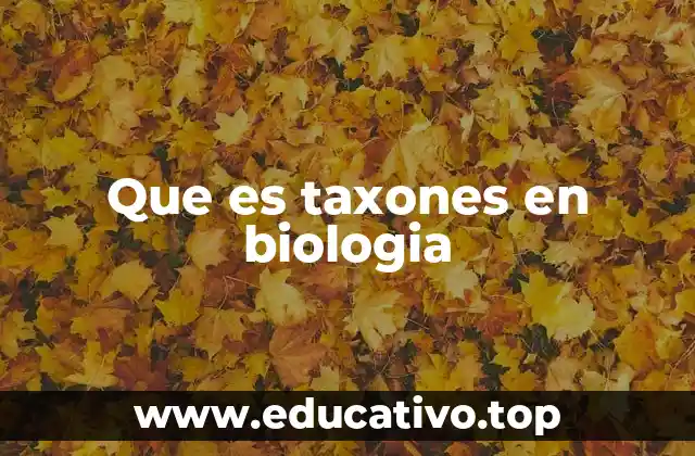 Que es taxones en biologia