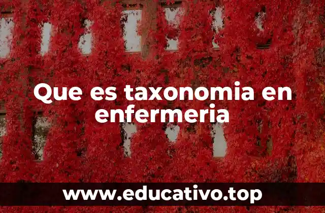 Que es taxonomia en enfermeria