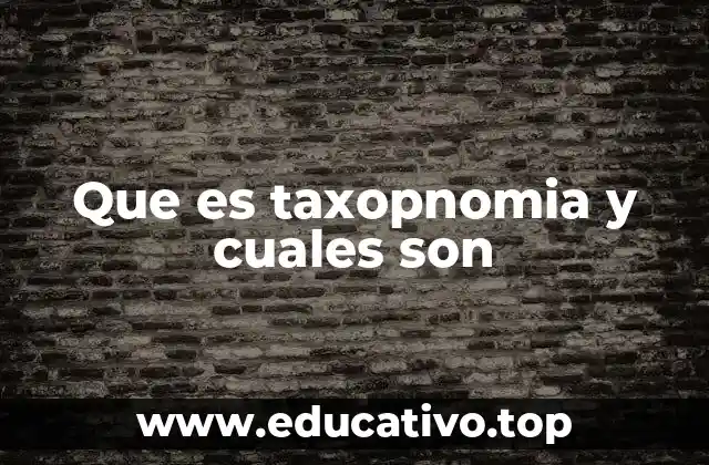 Que es taxopnomia y cuales son