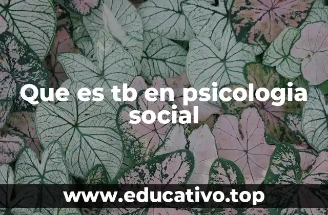Que es tb en psicologia social