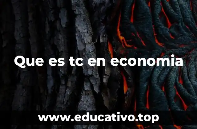 Que es tc en economia