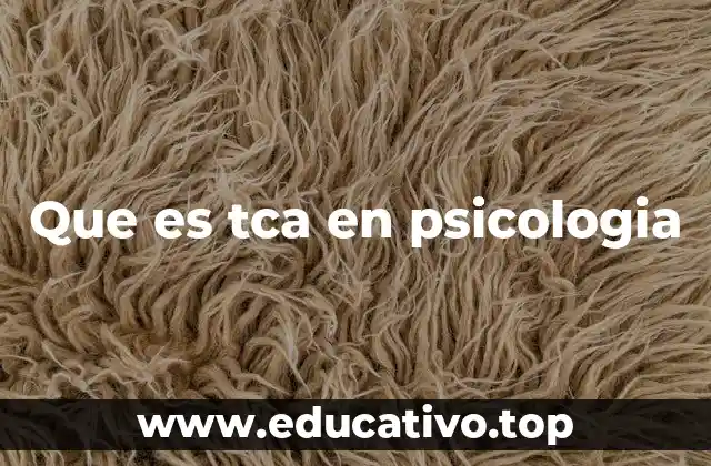 Que es tca en psicologia