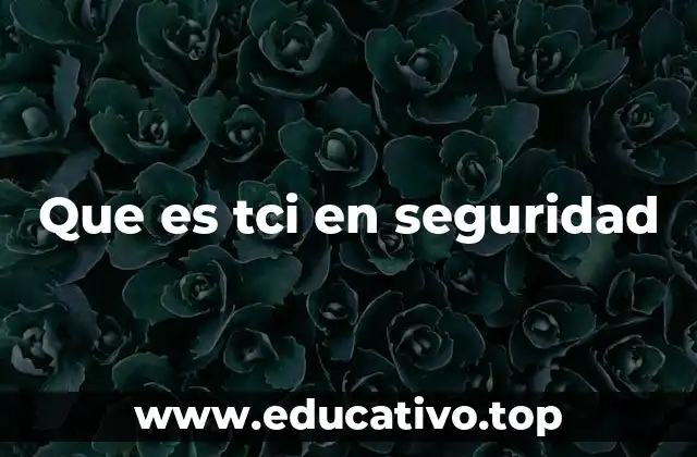 Que es tci en seguridad
