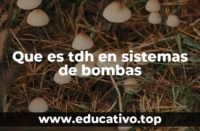 Que es tdh en sistemas de bombas