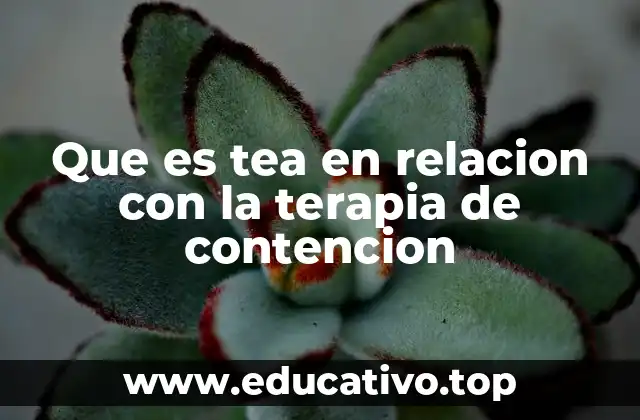 Que es tea en relacion con la terapia de contencion