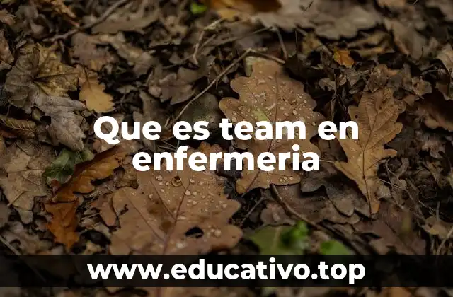 Que es team en enfermeria