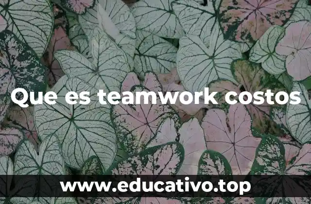 Que es teamwork costos