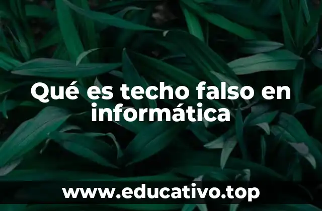 Qué es techo falso en informática