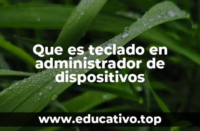 Que es teclado en administrador de dispositivos