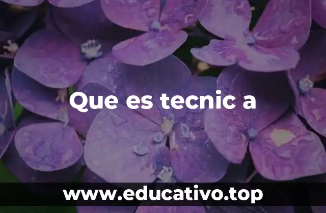 Que es tecnic a