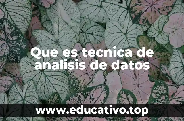 Que es tecnica de analisis de datos