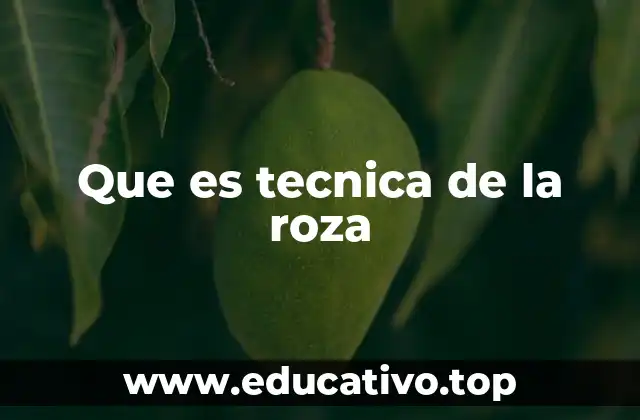 Que es tecnica de la roza