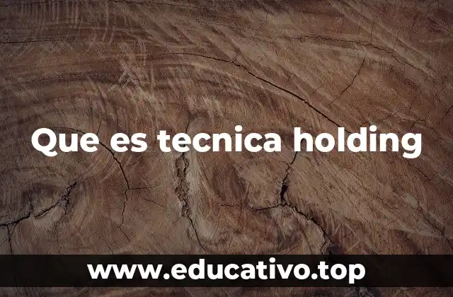 Que es tecnica holding