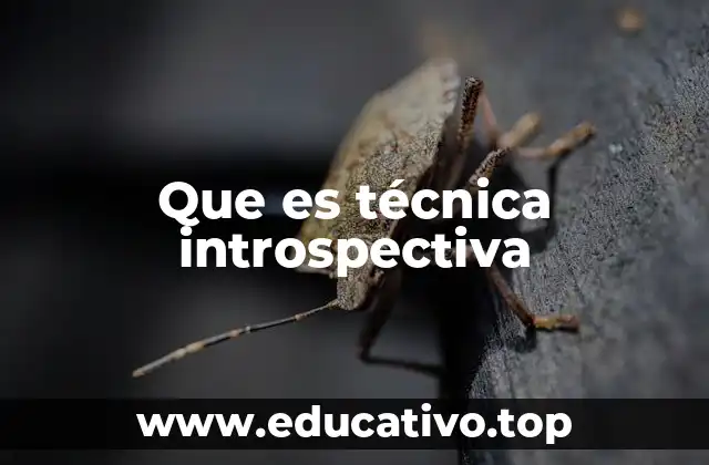 Que es técnica introspectiva