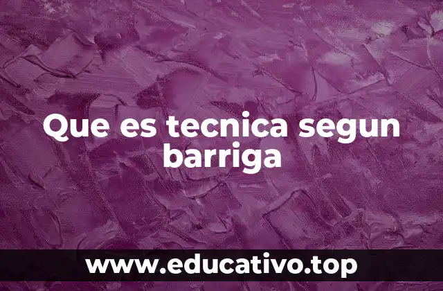 Que es tecnica segun barriga