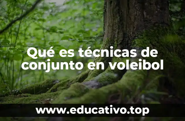 La importancia de la coordinación en el voleibol