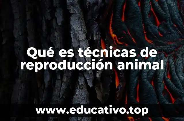 Qué es técnicas de reproducción animal