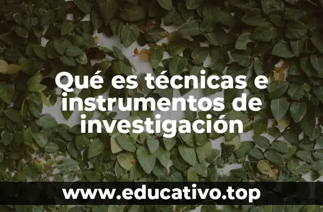 Qué es técnicas e instrumentos de investigación
