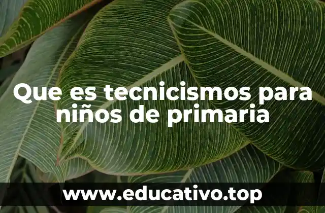 Que es tecnicismos para niños de primaria