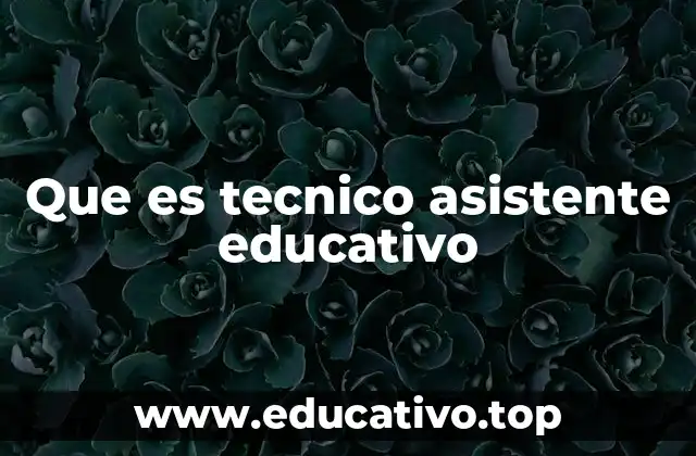 Que es tecnico asistente educativo