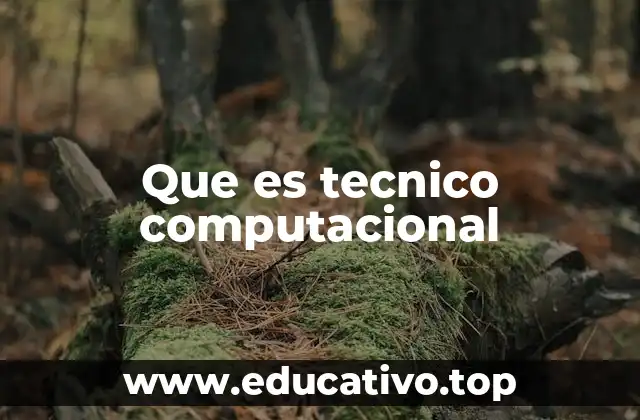 Que es tecnico computacional