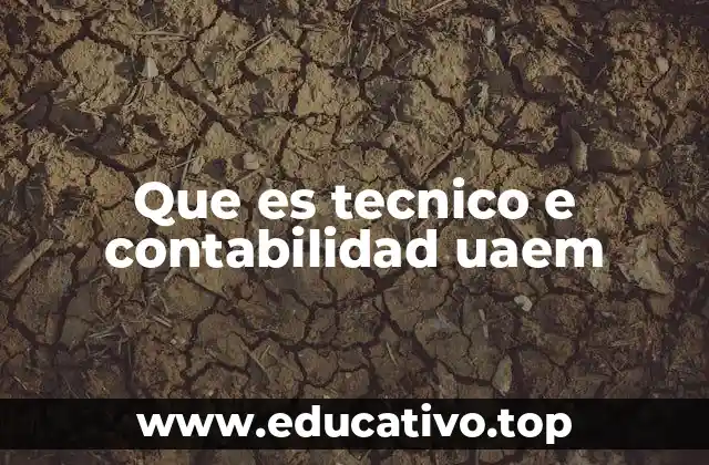 Que es tecnico e contabilidad uaem