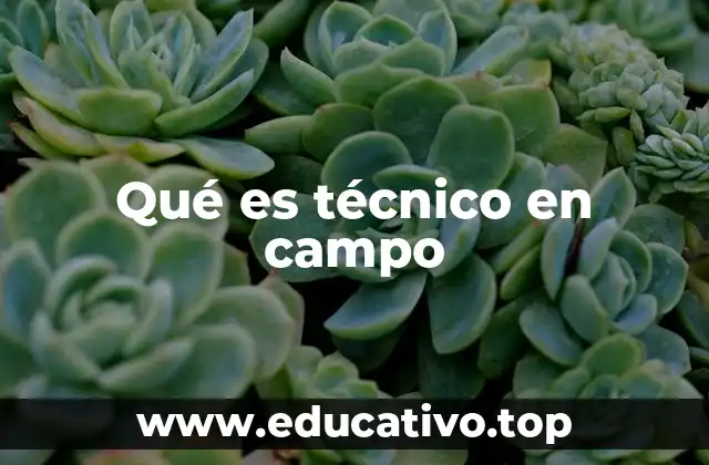 Qué es técnico en campo