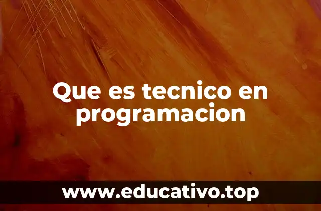 Que es tecnico en programacion