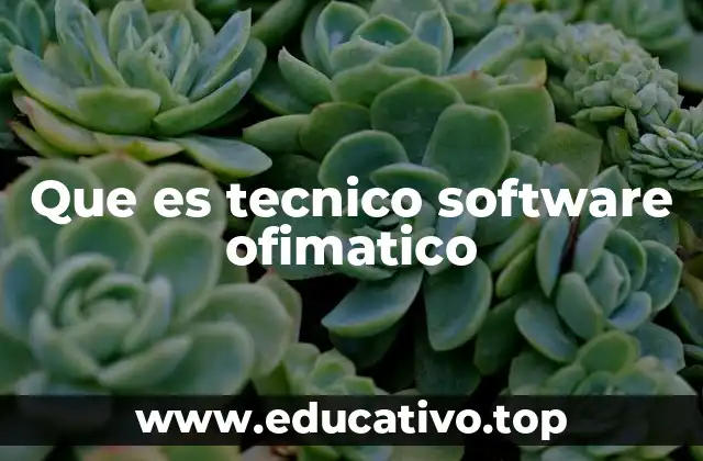 Que es tecnico software ofimatico