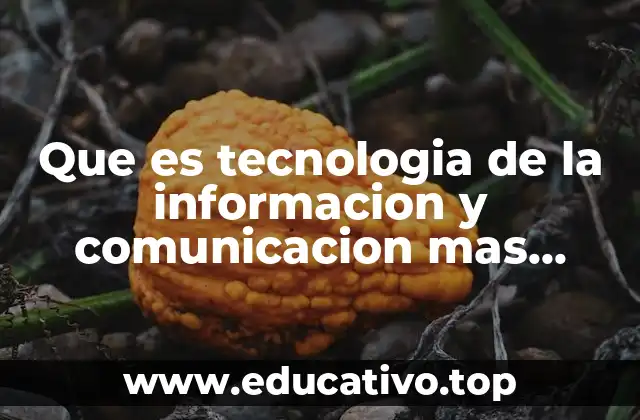 Que es tecnologia de la informacion y comunicacion mas cortos
